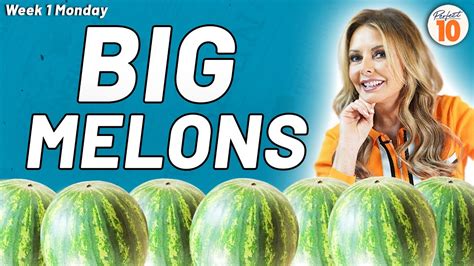 Big Melons .